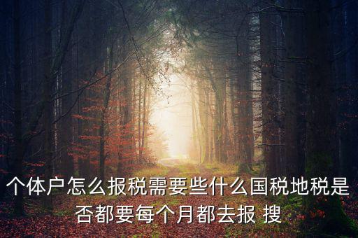 個體戶報稅都報什么，個體戶怎么報稅需要些什么國稅地稅是否都要每個月都去報 搜