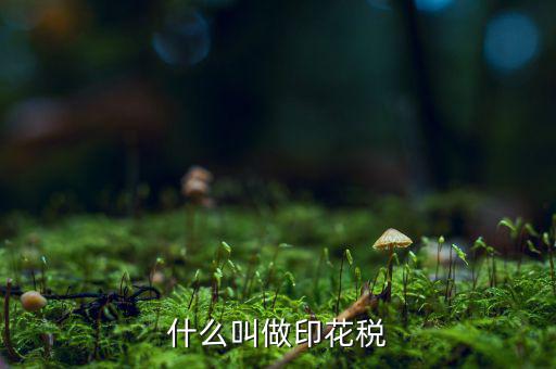 銀行印花稅是什么，什么叫做印花稅