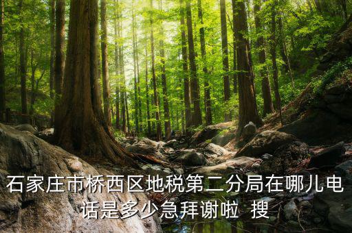 地稅二分局是做什么的，地稅科查局是做什么的
