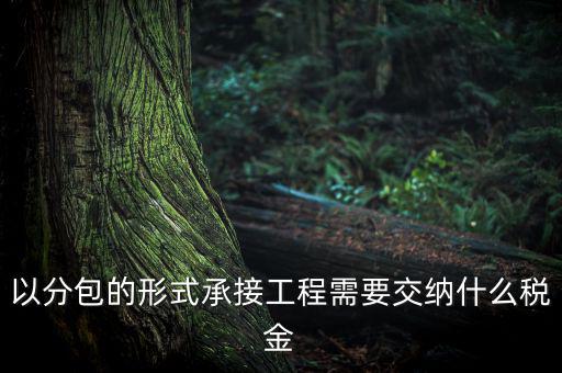 工程稅安什么繳，被施工單位土建工程應繳納何種稅