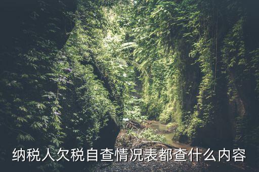 重點(diǎn)納稅人走訪情況表是什么，納稅人自查情況說(shuō)明表里各項(xiàng)都填什么