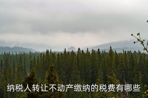 轉(zhuǎn)讓不動(dòng)產(chǎn)交什么稅，納稅人轉(zhuǎn)讓不動(dòng)產(chǎn)繳納的稅費(fèi)有哪些