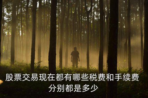 賣出股票要交什么稅，營改增后企業(yè)買賣股票應(yīng)按照什么稅目繳納增值稅