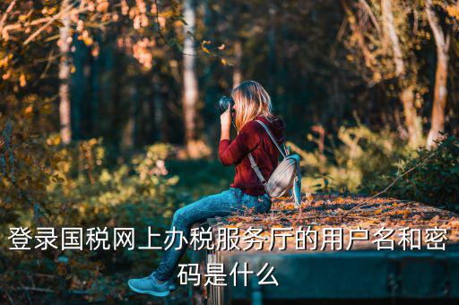 陜西電子稅務(wù)局登錄賬號是什么，登錄國稅網(wǎng)上辦稅服務(wù)廳的用戶名和密碼是什么