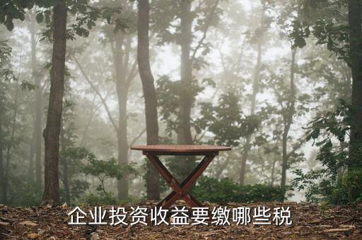 企業(yè)收到對外投資收益需交什么稅，投資收益要交些什么稅
