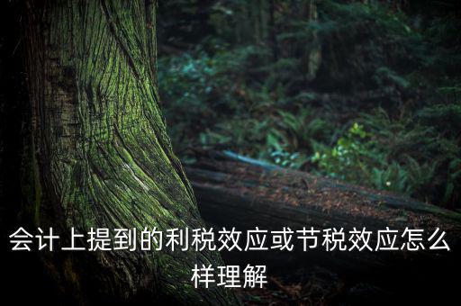 節(jié)稅效應(yīng)是節(jié)的什么稅，什么是節(jié)稅額