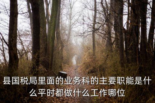 什么是稅政工作，縣國稅局里面的業(yè)務(wù)科的主要職能是什么平時(shí)都做什么工作哪位