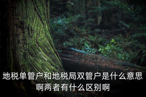 單管戶什么意思，地稅單管戶除了飲食行業(yè)外還有哪幾個(gè)行業(yè)
