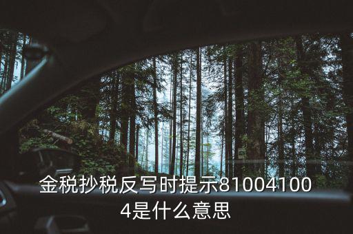抄稅反寫是什么意思，金稅抄稅反寫時(shí)提示810041004是什么意思