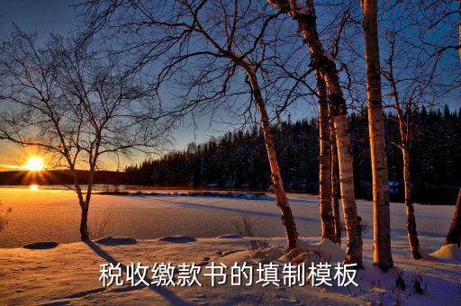 稅收繳款書(shū)字軌是什么，什么是文書(shū)字軌