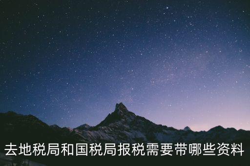 到國稅報稅需要什么，去地稅局和國稅局報稅需要帶哪些資料