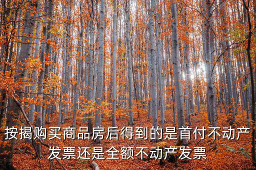 什么是全額不動(dòng)產(chǎn)發(fā)票，想問(wèn)一下購(gòu)房全額發(fā)票到底是什么的侯才開(kāi)是在交房的時(shí)侯還是辦
