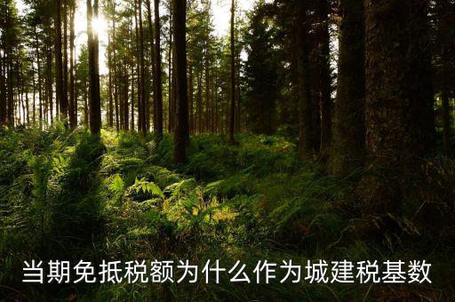 免抵稅額為什么要交城建稅，免抵稅額為什么要負(fù)擔(dān)城建稅和教育費附加