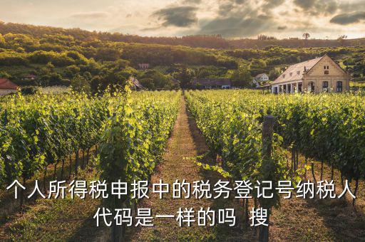 什么是個人稅務(wù)號，個人所得稅申報(bào)中的稅務(wù)登記號納稅人代碼是一樣的嗎  搜