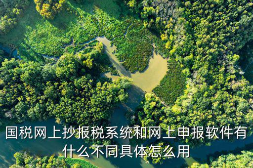 國(guó)稅申報(bào)軟件是什么意思，你用過(guò)網(wǎng)上申報(bào)軟件嗎是申報(bào)什么的我們公司有河北國(guó)稅納稅人端