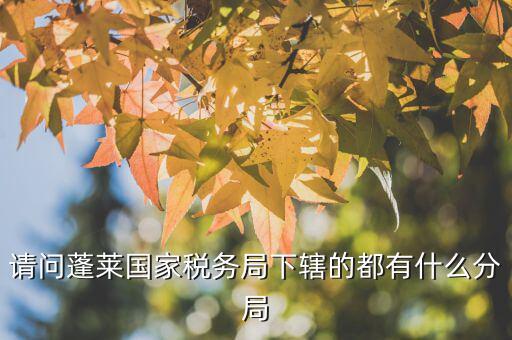 國稅局分局有什么，豐縣國稅局有幾個(gè)分局