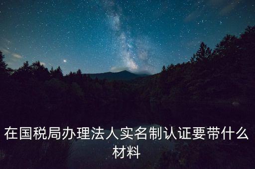 服務(wù)廳實名辦稅要帶什么，服務(wù)業(yè)辦稅務(wù)登記要些什么證件