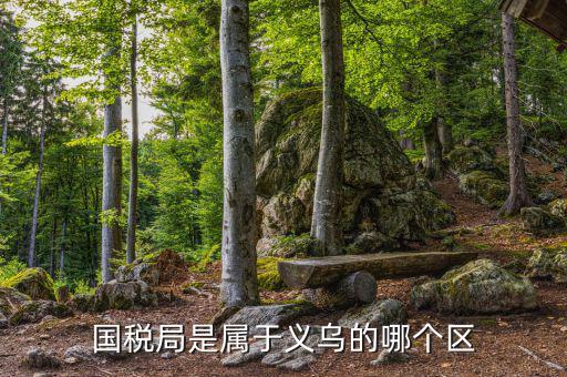 國稅總局在什么區(qū)，國家稅務總局具體地址在哪