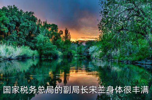 國(guó)家稅務(wù)總局的副局長(zhǎng)宋蘭身體很豐滿(mǎn)