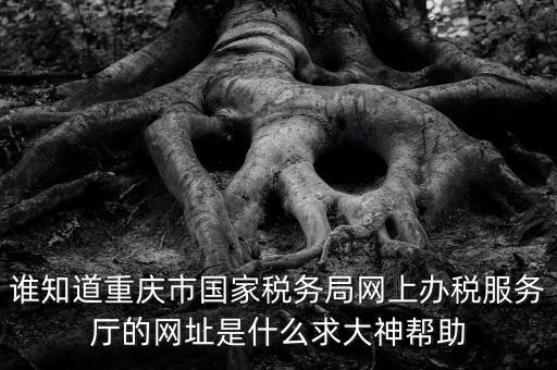 重慶稅務(wù)網(wǎng)站是什么，那個(gè)小型企業(yè)網(wǎng)上申報(bào)稅務(wù)的網(wǎng)站是多少啊發(fā)了一張流程表上