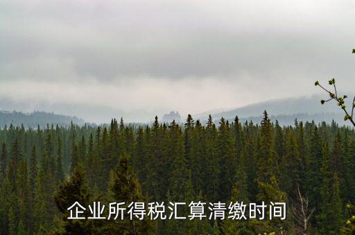 匯算清繳什么時候，個人所得稅匯算清繳的時間一定是次年的3月31日前