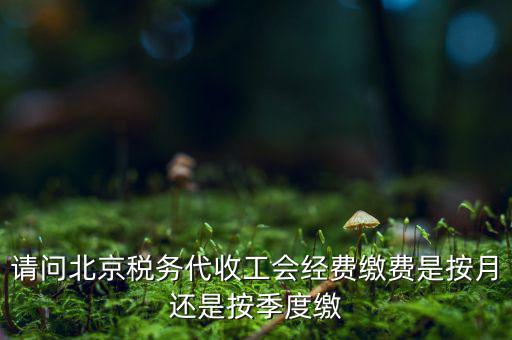 請問北京稅務(wù)代收工會(huì)經(jīng)費(fèi)繳費(fèi)是按月還是按季度繳