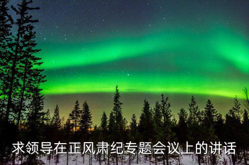 正風(fēng)肅紀(jì)講話什么意思，求領(lǐng)導(dǎo)在正風(fēng)肅紀(jì)專題會議上的講話