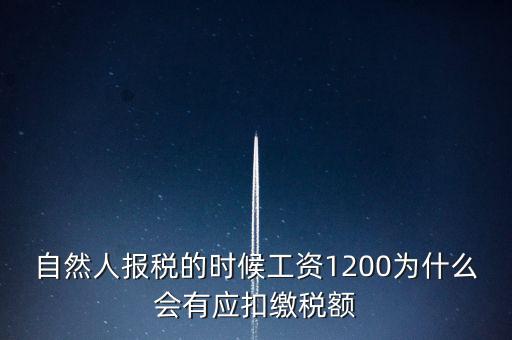 自然人報(bào)稅為什么，自然人辦稅服務(wù)平臺(tái)實(shí)名注冊(cè)的目的是什么