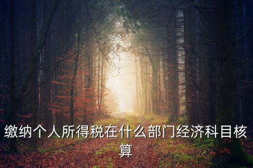 繳納個人所得稅在什么部門經濟科目核算