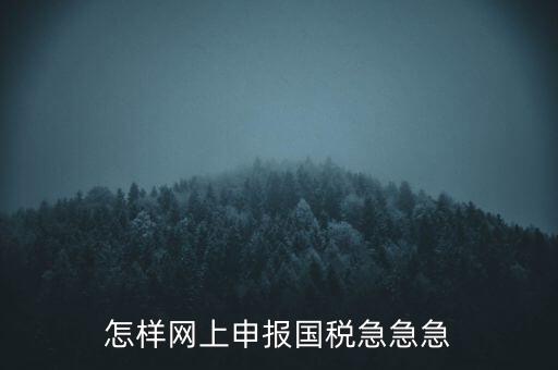 怎樣網上申報國稅急急急