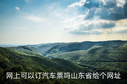 網(wǎng)上可以訂汽車票嗎山東省給個(gè)網(wǎng)址