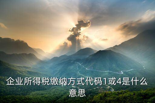征收代碼是什么意思，工商所開的非稅收入收款收據(jù)上的代碼是什么意思