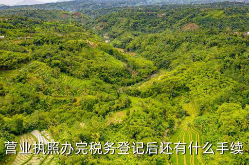 稅務(wù)登記以后需要什么，公司設(shè)立后辦理稅務(wù)登記要準(zhǔn)備哪些資料