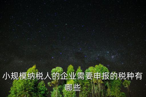 國稅小企業(yè)報什么稅，無錫 一般納稅人 小企業(yè)納稅人 國稅 地稅 分別要報哪些