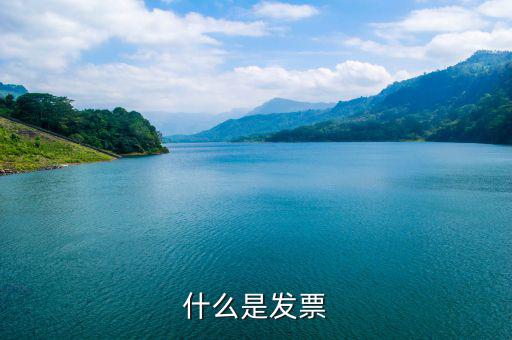 默認(rèn)發(fā)票是什么，蘇寧天貓旗艦店默認(rèn)開(kāi)取什么發(fā)票