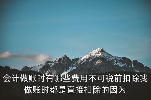 什么不可以稅前扣除嗎，納稅人哪些支出不能在企業(yè)所得稅前扣除