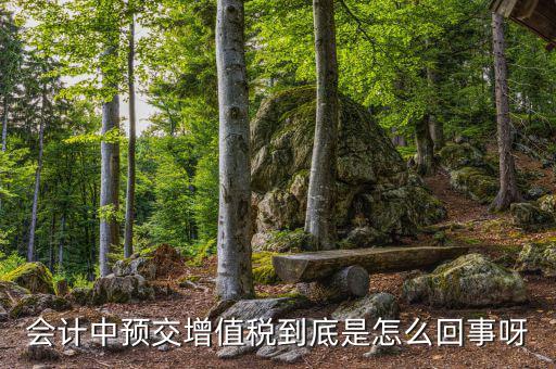 增值稅為什么要預(yù)繳，輔導(dǎo)期增購增值稅發(fā)票為什么要預(yù)繳