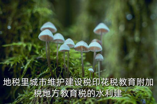 水利建設(shè)基金的計(jì)稅基礎(chǔ)是什么，計(jì)稅基礎(chǔ)是什么意思