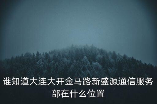 信息服務(wù)部可以叫什么地方，誰知道大連大開金馬路新盛源通信服務(wù)部在什么位置