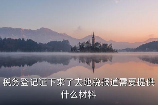 國地稅報道需要什么，地稅報道需要什么材料2016最新的
