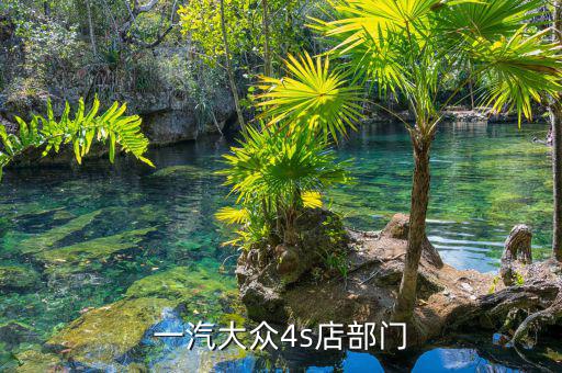 宋蘭去什么部門了，國(guó)家稅務(wù)總局的副局長(zhǎng)宋蘭身體很豐滿