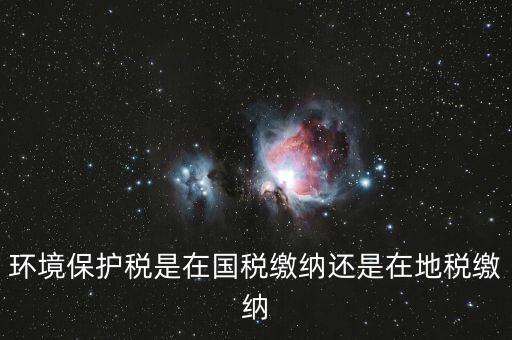 什么是環(huán)境保護稅納稅人，環(huán)境稅是什么意思