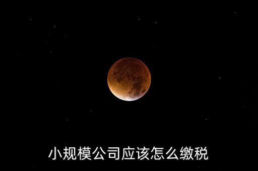 小規(guī)模公司按什么交稅嗎，一個小規(guī)模納稅公司國稅和地稅應該都分別交什么稅