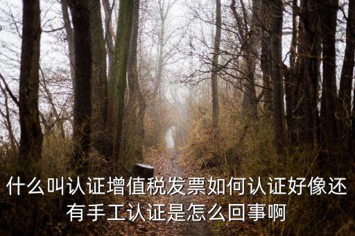 什么叫發(fā)票認證，什么叫認證增值稅發(fā)票如何認證好像還有手工認證是怎么回事啊