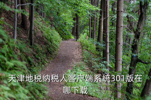 天津市地稅需下載什么，天津地稅納稅人客戶端系統(tǒng)301版在哪下載