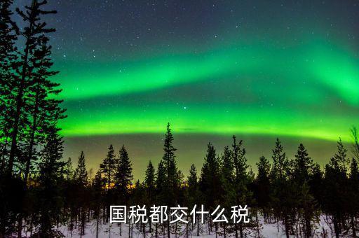 國(guó)稅稅費(fèi)是什么，國(guó)稅都交什么稅