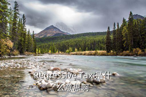 什么是稅收穿透，passthrough taxation是什么意思是直接繳稅嘛
