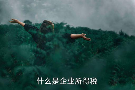 什么是企業(yè)所得稅率，什么是企業(yè)所得稅