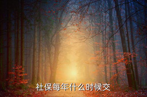 社保費每年什么時候交，社保每年什么時候交
