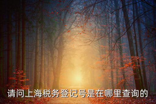 上海的稅務(wù)賬號是什么，請問上海稅務(wù)登記號是在哪里查詢的